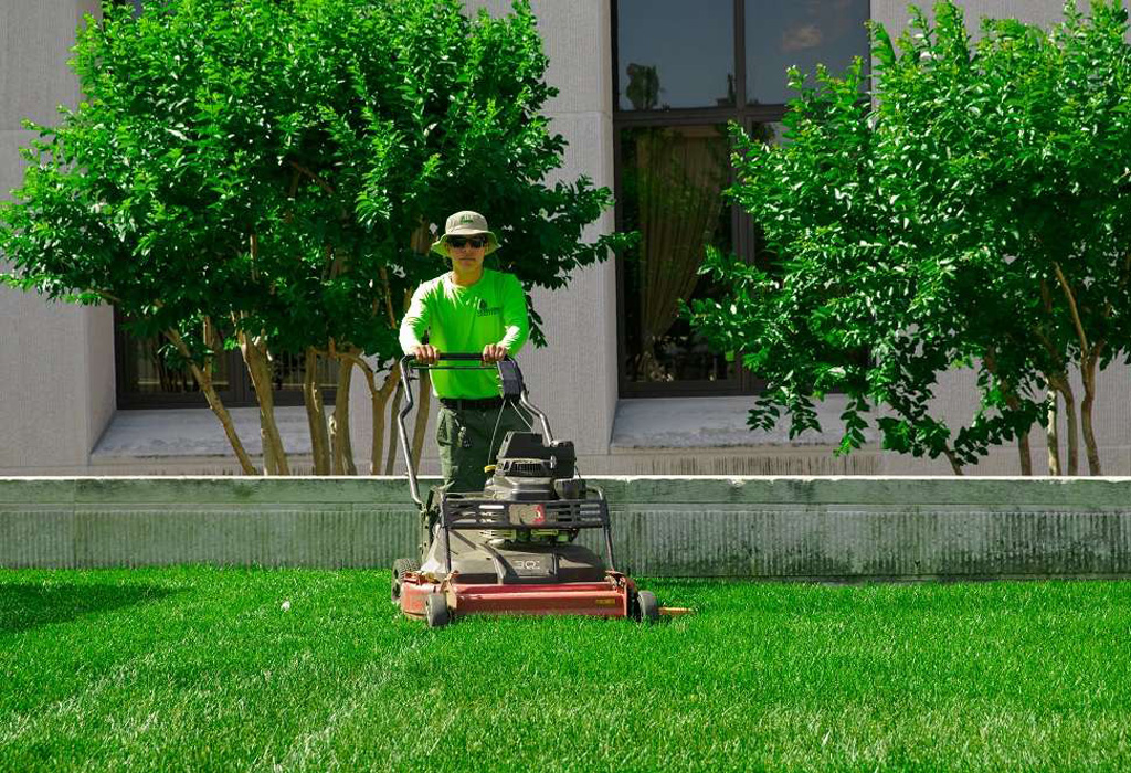 Lawn Care Services in Cheshire